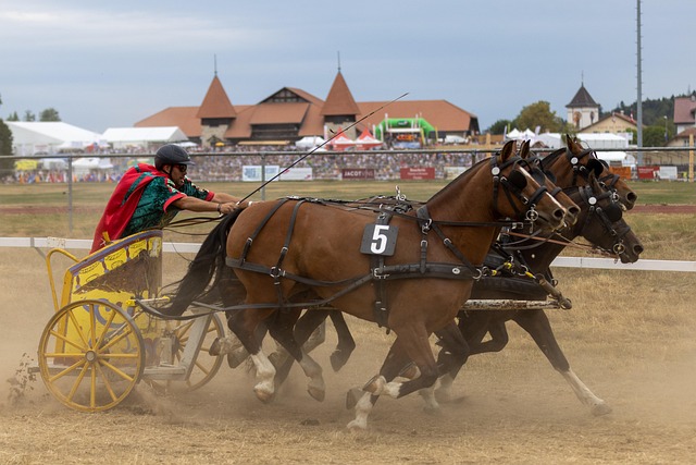 市文化宣传 市文化宣传