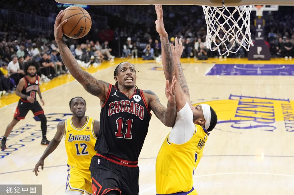 与本土培养 与本土培养